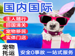 石家庄机场邮寄国际宠物托运 【国